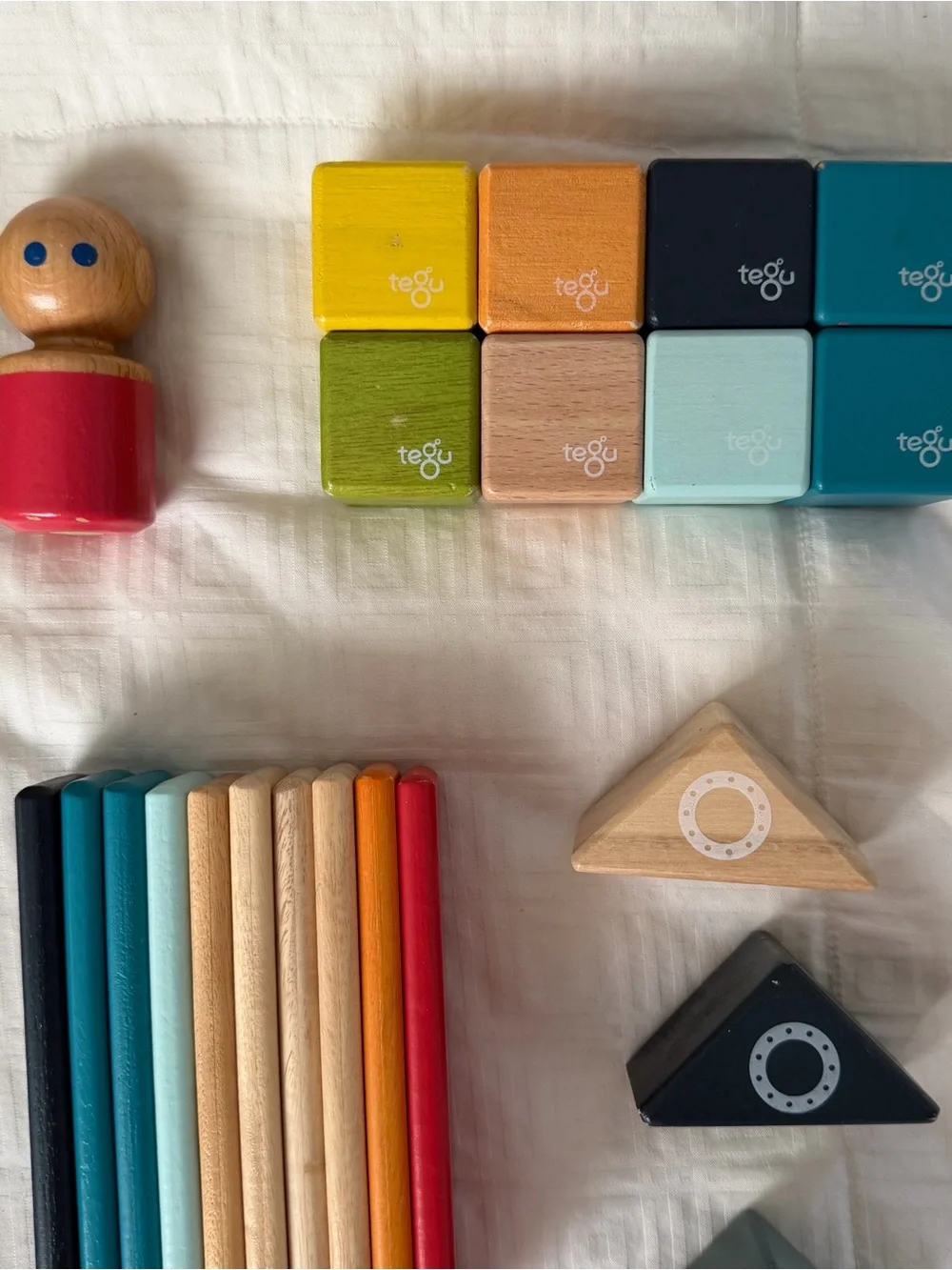 Tegu wooden magnet